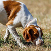 Radar sophistiqué